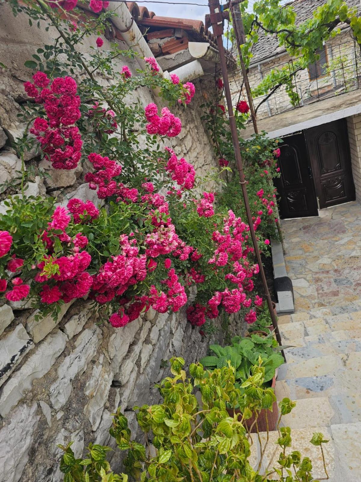 Luigi Guest House Gjirokastër Extérieur photo
