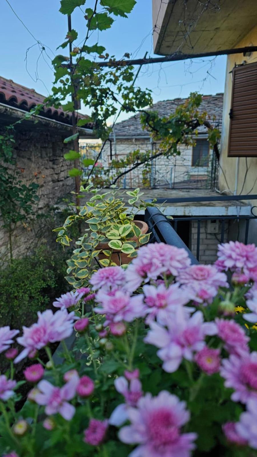 Luigi Guest House Gjirokastër Extérieur photo